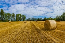 E15_5885t1x14t1vr A field in Aldeby after the harvest (mid-August) with round bales awaiting collection